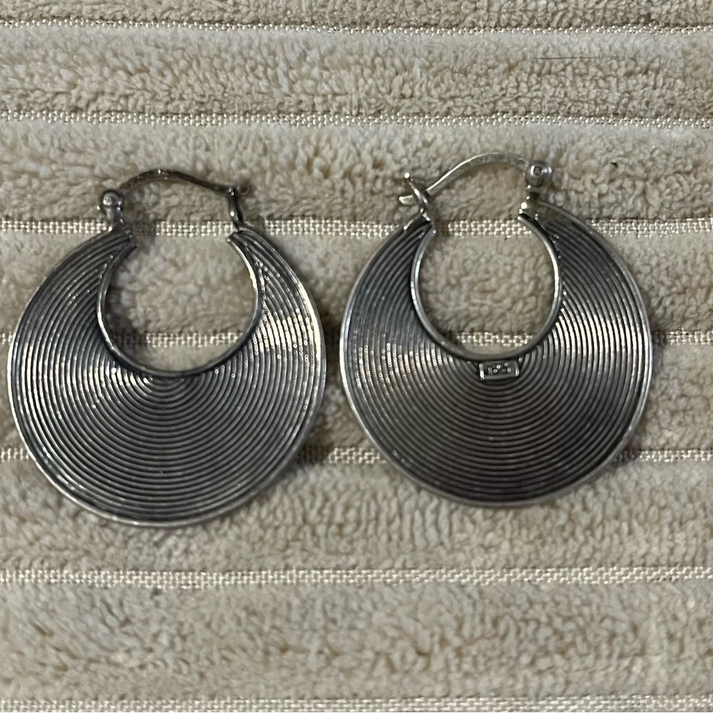 Elegant Silver Hoop Earrings